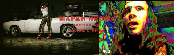 прущая мука Ельня