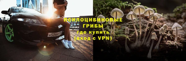 мдпв Елизово