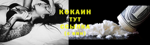 прущая мука Ельня