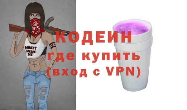 мдпв Елизово