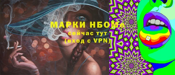 мдпв Елизово