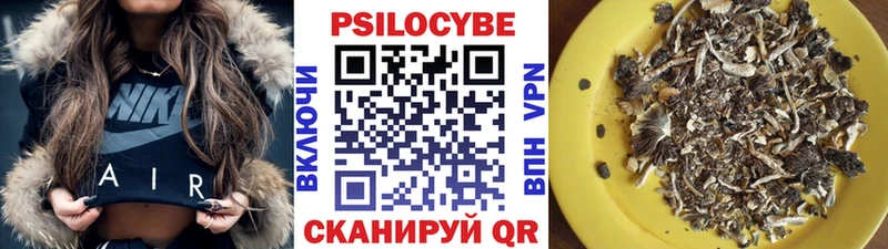 Галлюциногенные грибы Psilocybe Иннополис